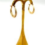 گوشواره آریانا