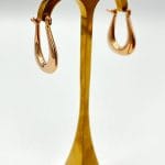 گوشواره آریانا