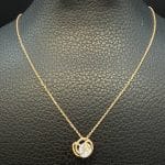 گردنی سوپر سوپریت پالرمو