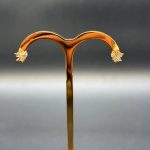 گوشواره میخی