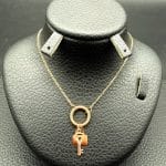 گردنی شاینا