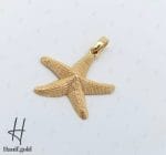 مدال طلای ظریف ستاره دریایی (مدال آرسا) - Image 2
